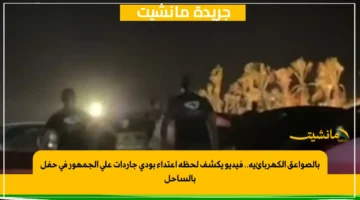 بالصواعق الكهربائية.. فيديو يكشف لحظة اعتداء بودي جاردات على الجمهور في حفل بالساحل